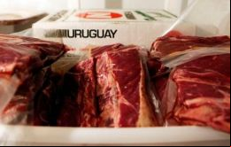 La carne se mantuvo como el principal producto de exportación tras un aumento del 26,6%, principalmente por las mayores ventas a China, Estados Unidos y Holanda